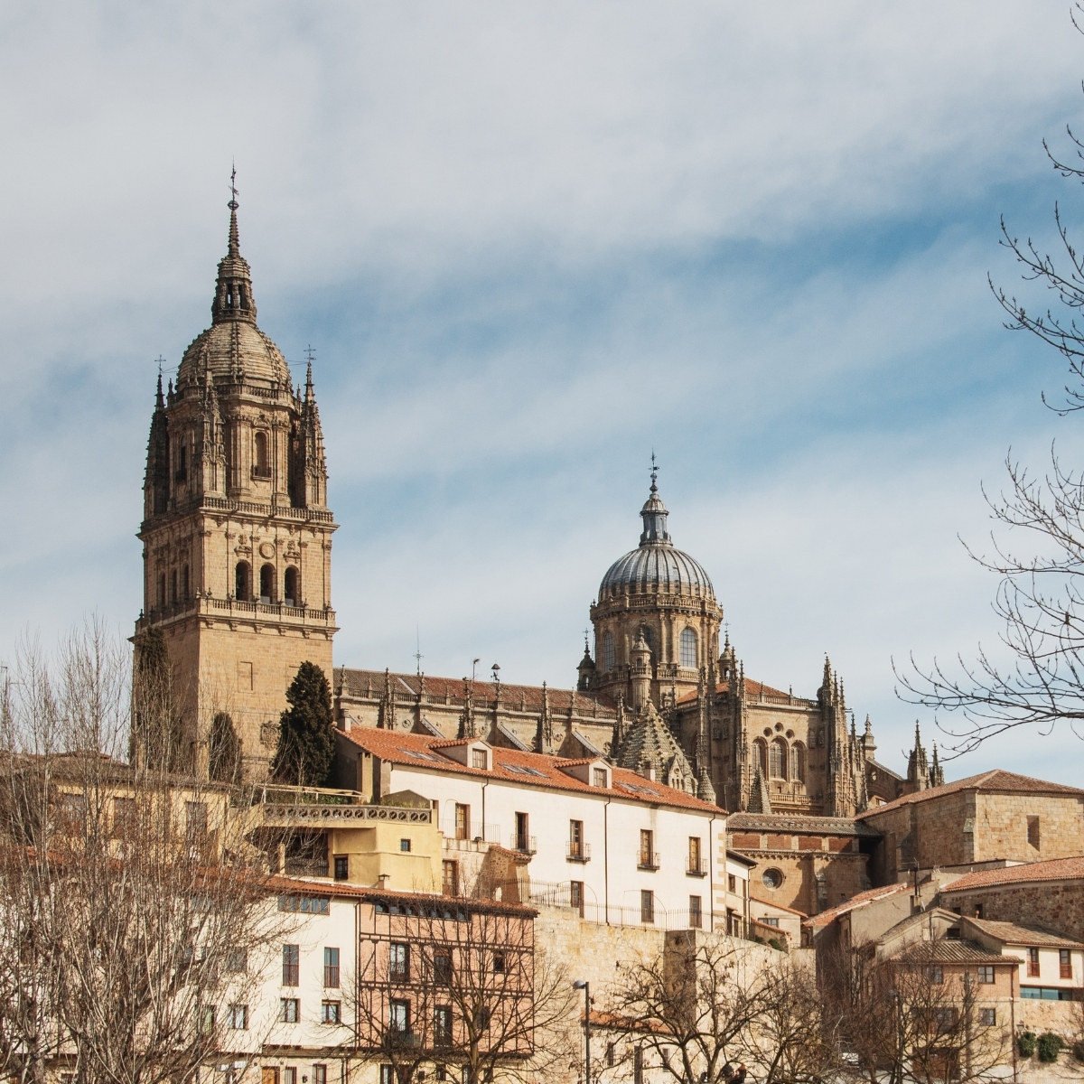 Apartamento Turístico Mancho Salamanca